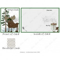 Cool Moose Spring in Canada