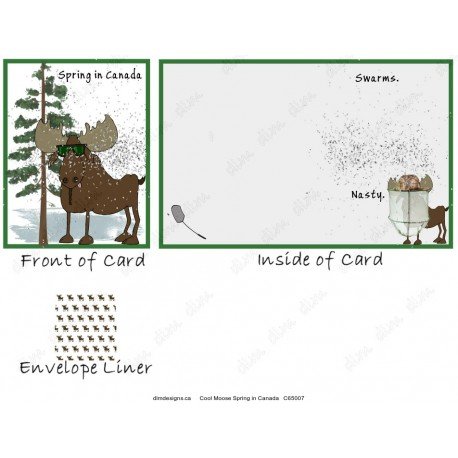 Cool Moose Spring in Canada