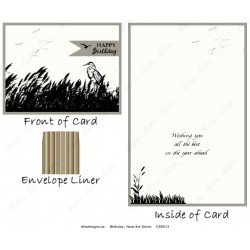 Birthday - Near the Shore