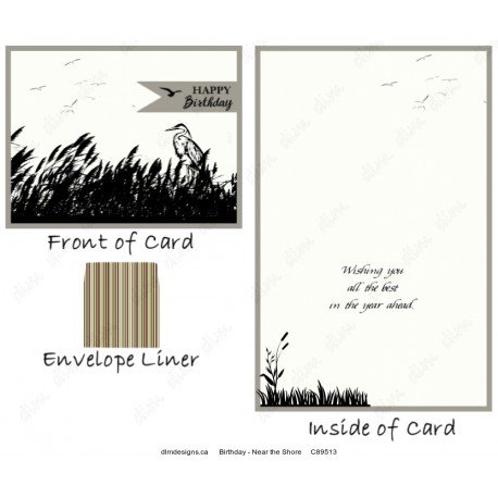 Birthday - Near the Shore