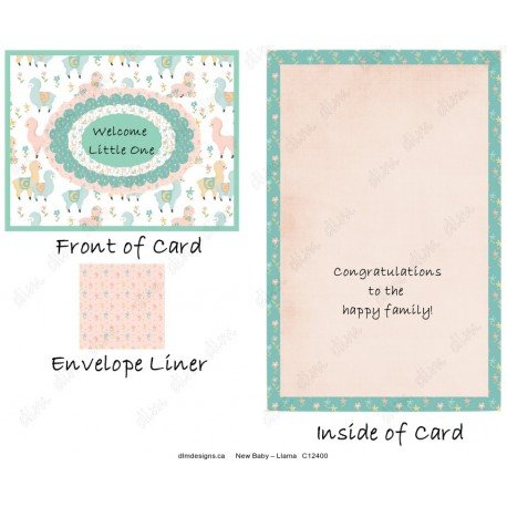 New Baby – Llama