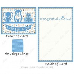 New Baby – A New Baby Boy to Love