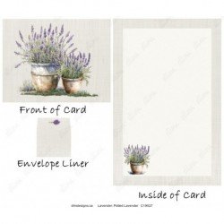Lavender - Potted Lavender