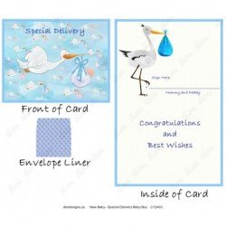 New Baby - Special Delivery Baby Boy