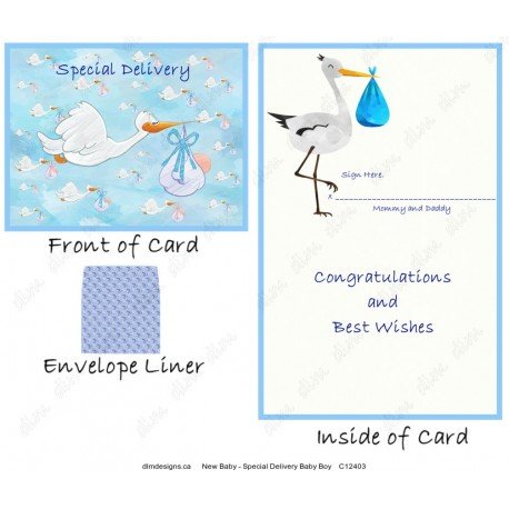New Baby - Special Delivery Baby Boy