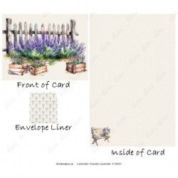 Lavender - Country Lavender