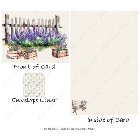 Lavender - Country Lavender