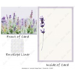 Lavender Garden 1