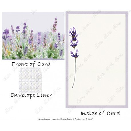 Lavender Garden 1