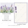 Lavender Garden 1