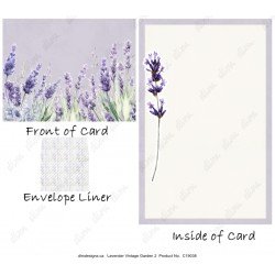 Lavender Garden 2