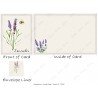 Lavender Sprig 1