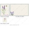 Lavender Sprig 2