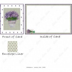 Lavender - Cindy