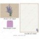 Lavender - Chrissy