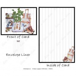 Vintage Luggage 3 With Boots